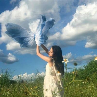 逐冰之旅